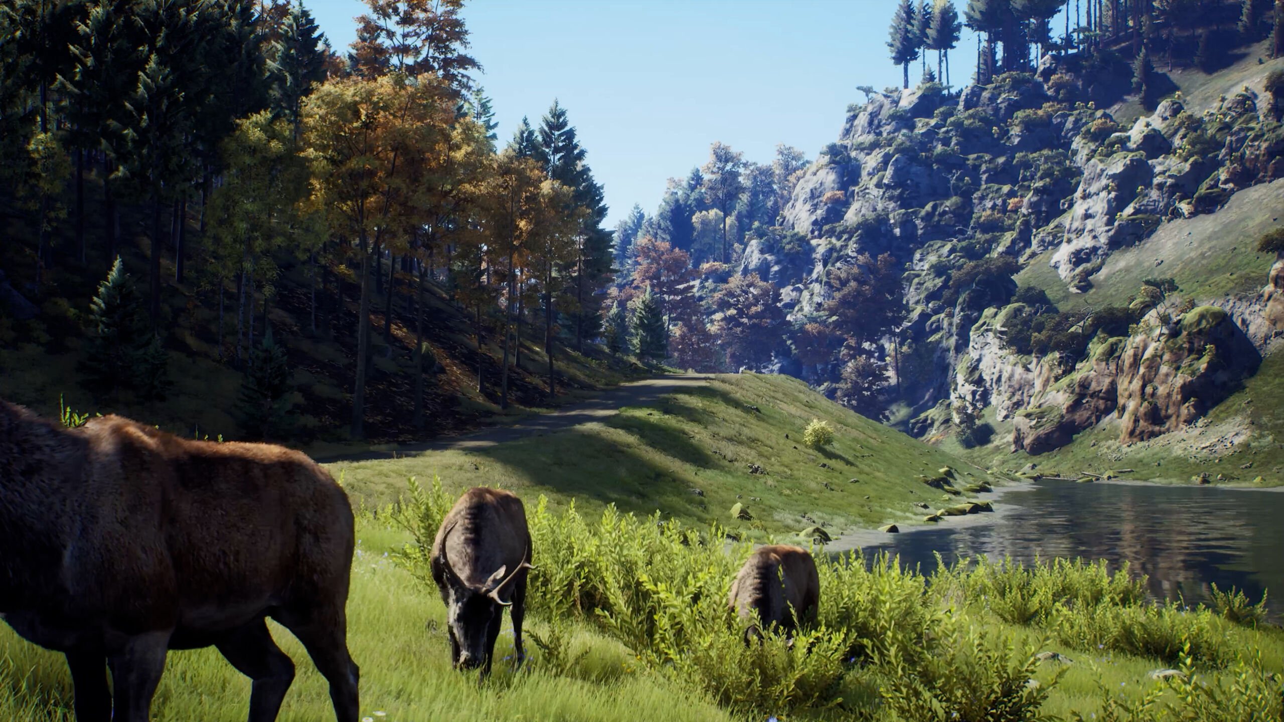 WOTH_Explainer_Final.mp4.00_02_57_20.Still006 Way of the Hunter | Big Thursday Creative