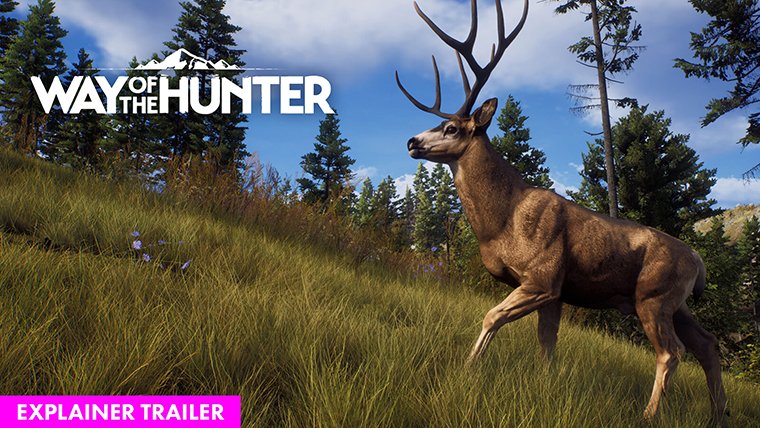 Way of the Hunter | Big Thursday Creative