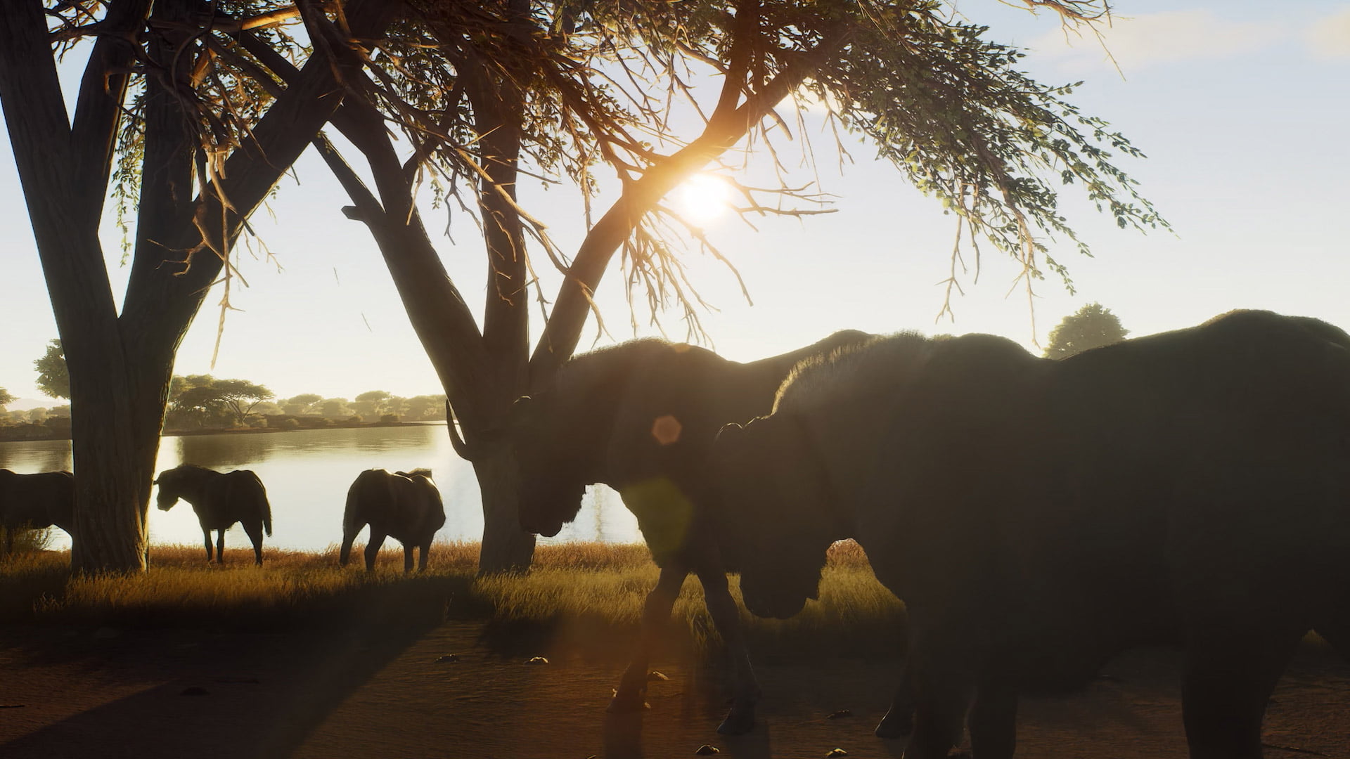 WOTH_DLC_Africa_01 Way Of The Hunter: Animals of Tikamoon Plains | Big Thursday Creative