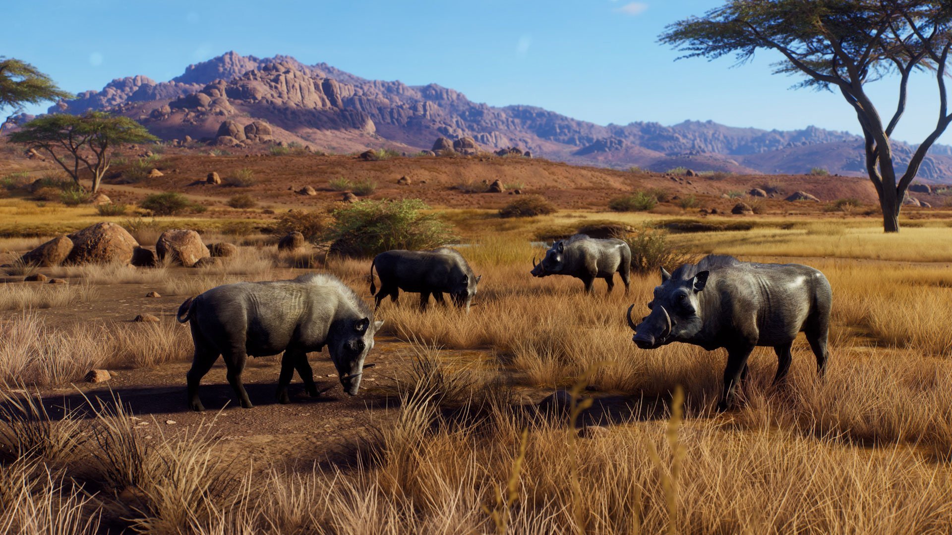 WOTH_DLC_Africa_03 Way Of The Hunter: Animals of Tikamoon Plains | Big Thursday Creative