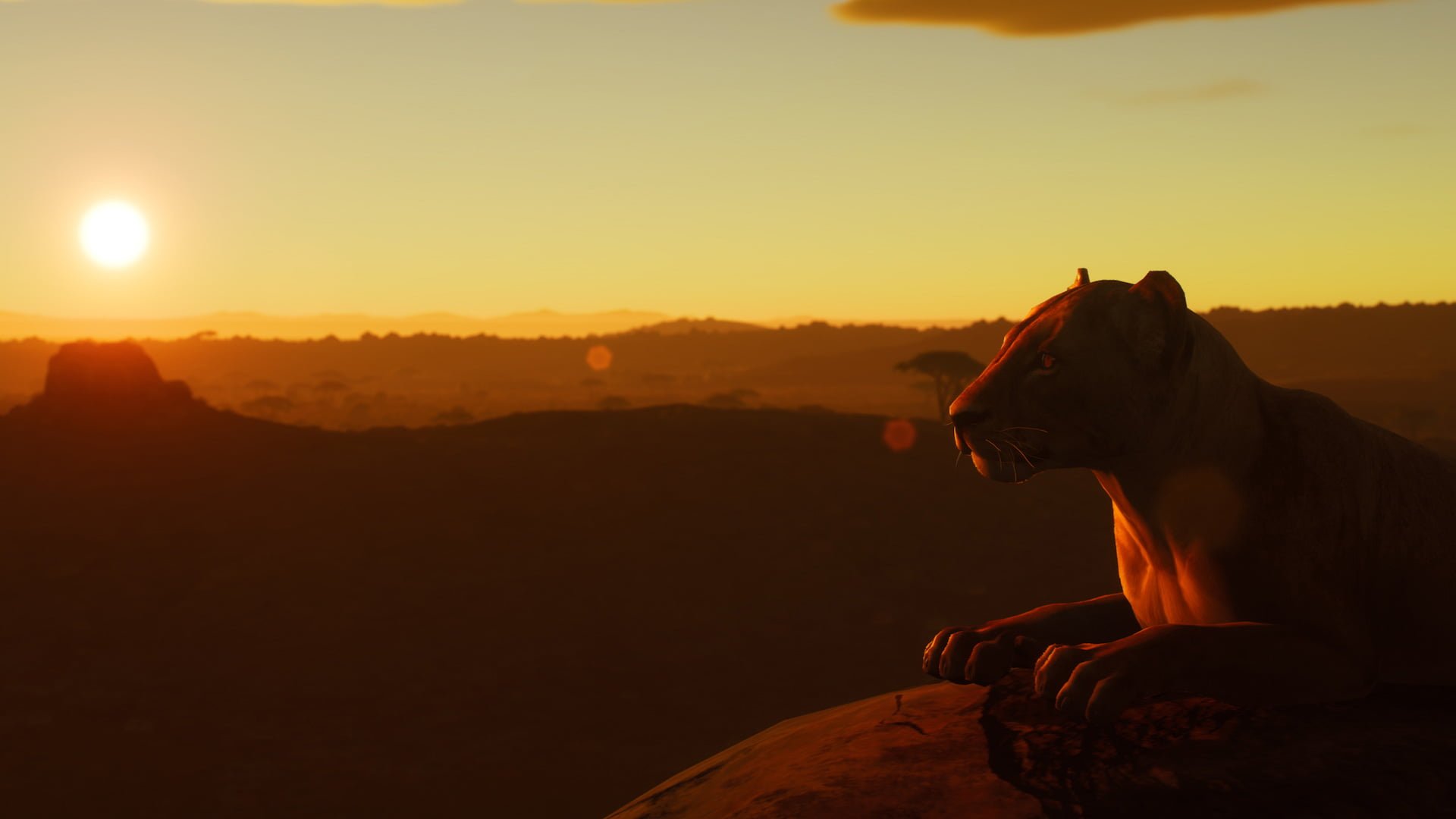 WOTH_DLC_Africa_05 Way Of The Hunter: Animals of Tikamoon Plains | Big Thursday Creative